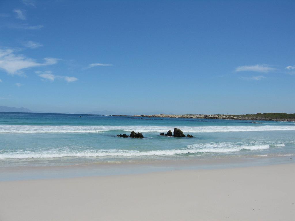 Bettyʼs Bay Van Den Berg'S Guesthouse מראה חיצוני תמונה